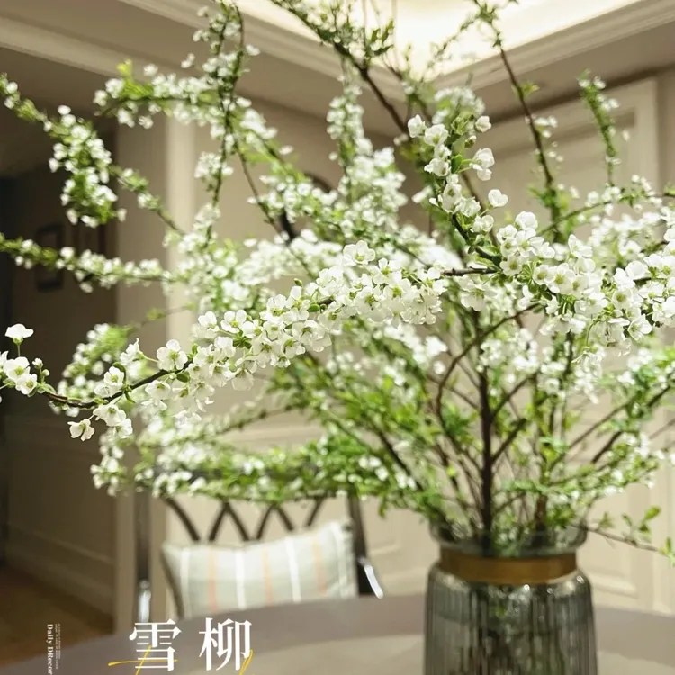 福利专属云南雪柳鲜枝水培耐寒开花室内绿植云南新鲜鲜花枯木养成的雪柳花