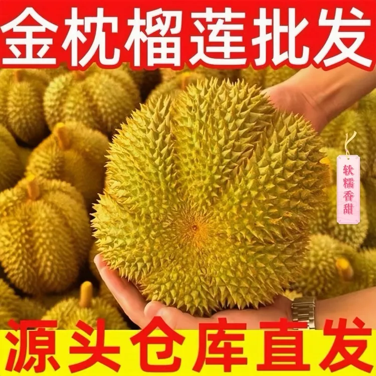 【顺丰速发】榴莲泰国进口金枕A级整果 新鲜水果软糯香甜坏果包赔