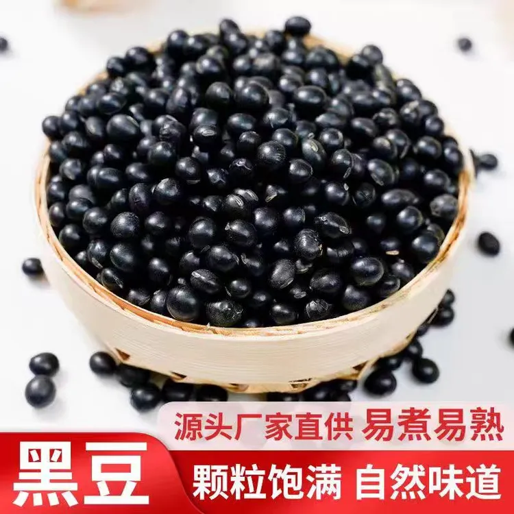 【今年黑豆净重发货】黄芯小黑豆杂粮豆浆专用黑豆散装黑豆无干燥剂