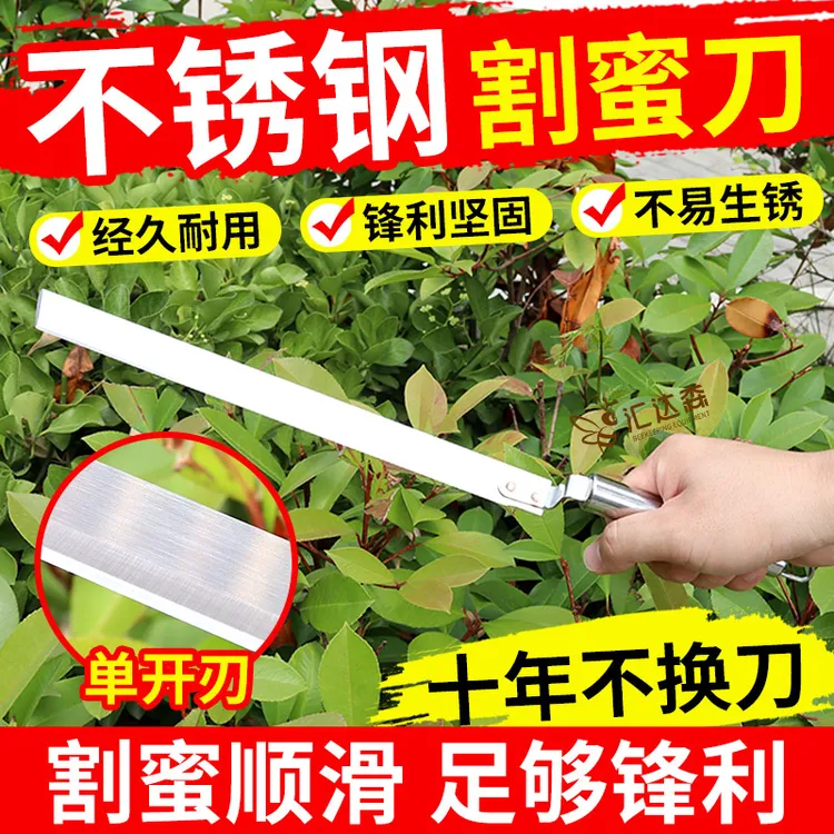 不锈钢割蜜刀锋利养蜂专用割巢脾超薄割封盖蜡刀取蜂蜜刀养蜂工具