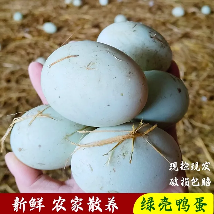 【新鲜鸭蛋】正宗农家散养土生鸭蛋绿壳农家现捡青皮鸭子蛋整箱