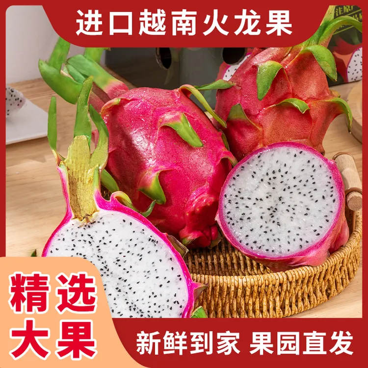 香甜白心火龙果越南进口产地直发当季新鲜水果白肉树上熟批发包邮