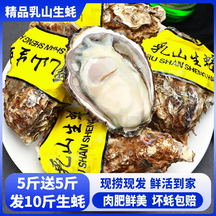 【5斤送5斤 发10斤】精品正宗乳山生蚝鲜活海鲜肥美免洗烧烤水产