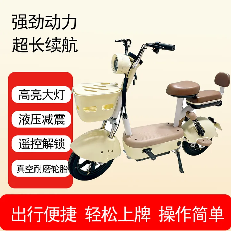 新国标电动车男女生适用元宇宙电动自行车48V电动两轮车锂电池