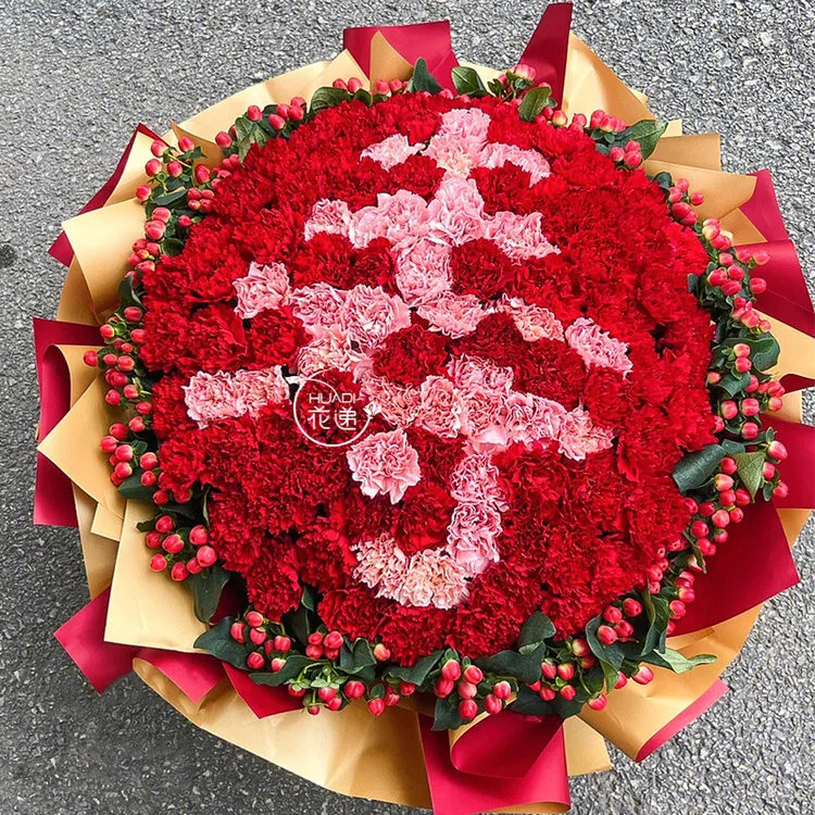 送长辈祝寿康乃馨生日花束鲜花店同城送花上门免费速配送附近团购