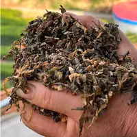 【干梅干菜】湖北农家自制土特产干货盐菜手工晒干农村干货