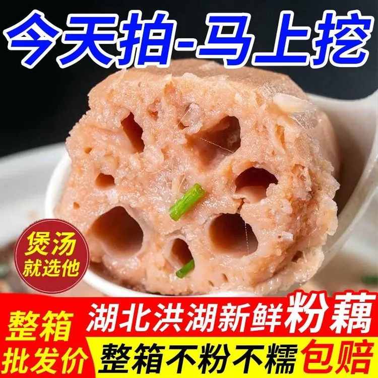 湖北洪湖新鲜现挖煲汤粉藕正宗红藕农家特产九孔红莲藕3斤5斤