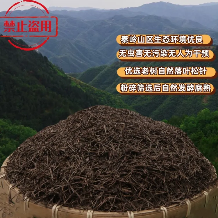 【周疯子回馈粉丝】纯松针腐叶土适用于花卉绿植盆栽果树土培植物