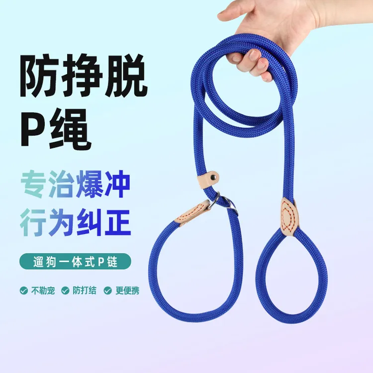 狗狗牵引绳P绳中大型犬防爆冲遛狗绳彩色一体式P链宠物用品狗绳子