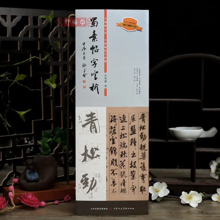 学海轩蜀素帖字字析638个视频讲解吕英儒著全视频示范全篇逐字讲