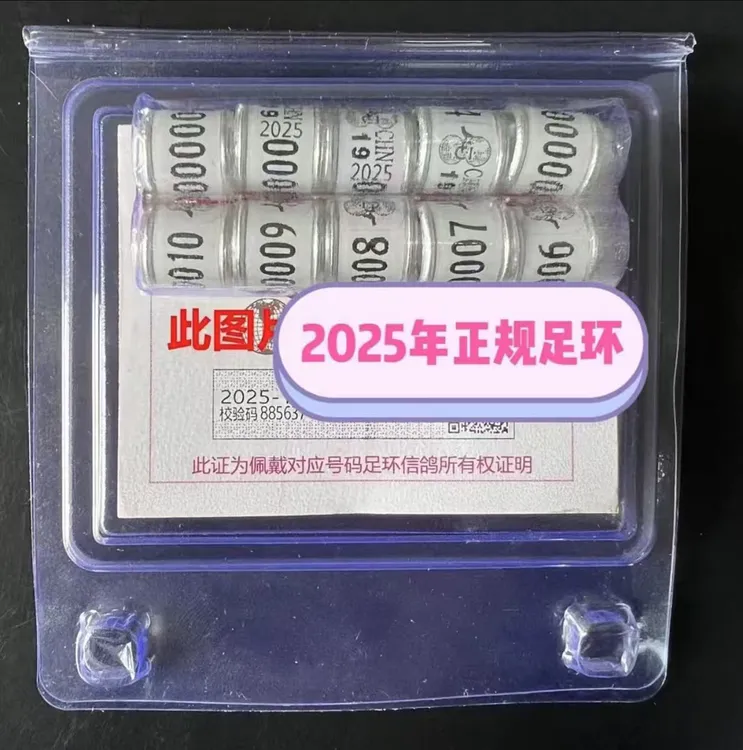 2025年河北03正式足环带证信鸽足环正规信鸽真环赛鸽统一脚环