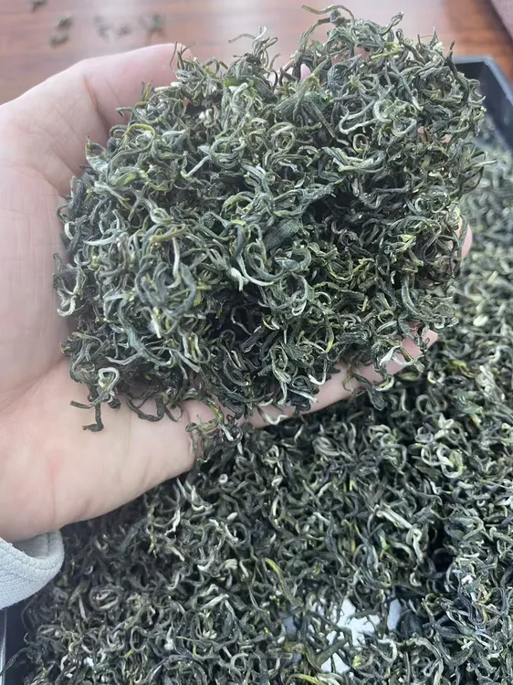手工炒青绿茶 2025年新茶 88溧阳炒青 味浓耐泡口粮浓茶绿茶500g
