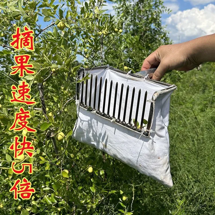新款多功能采摘工具高空摘果器摘酸枣神器柏籽龙眼柿子枇杷采收机