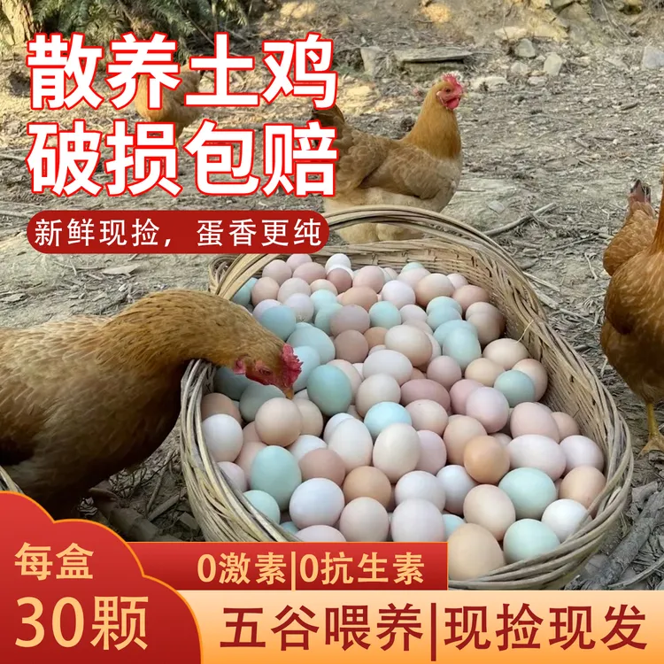 正宗农家虫草蛋礼盒装新鲜谷物农村蛋营养鲜鸡蛋土鸡蛋健康食品