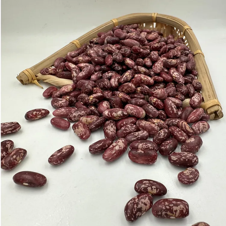 东北农家红花豆红芸豆四季豆饭豆东北特产杂粮三斤/五斤包邮