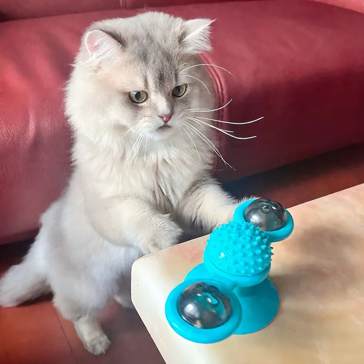 猫咪玩具自嗨解闷神器逗猫薄荷球用品旋转磨牙风车转盘下巴按摩器