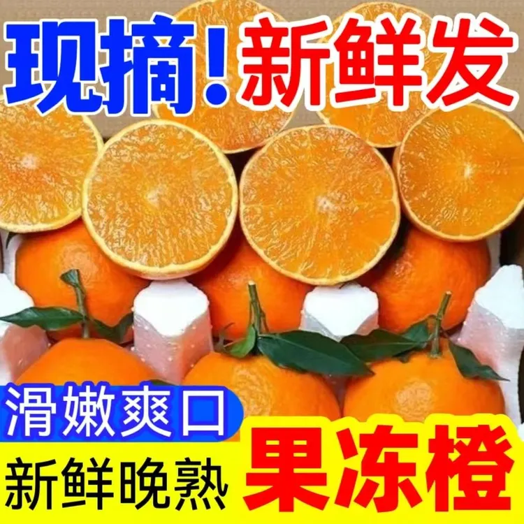 新客立减四川新鲜果冻橙甜橙青见柑爱媛38号橘子姐妹款当应季水果