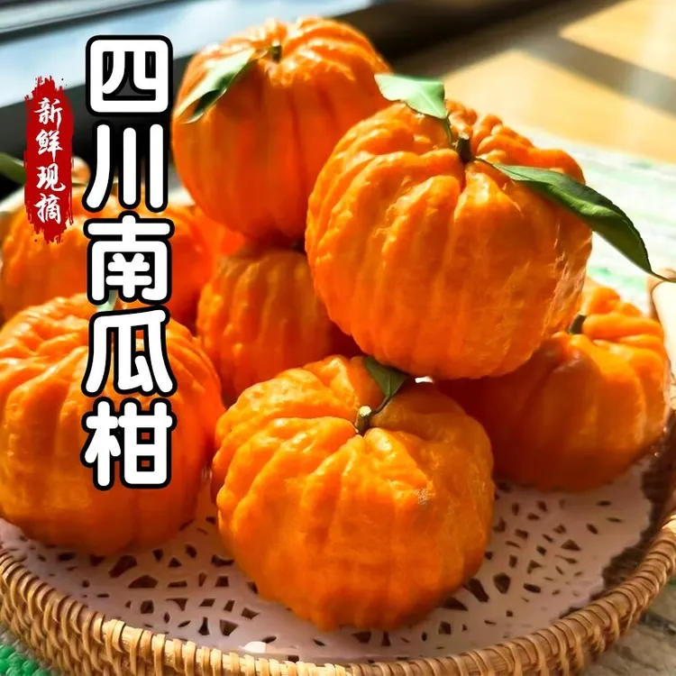 庆耕农正宗四川眉山南瓜柑发财柑新鲜孕妇水果橘桔子礼盒装包邮