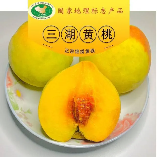 湖北荆州三湖锦绣黄桃，新鲜应季水果，5斤精装尝鲜装油桃蟠桃