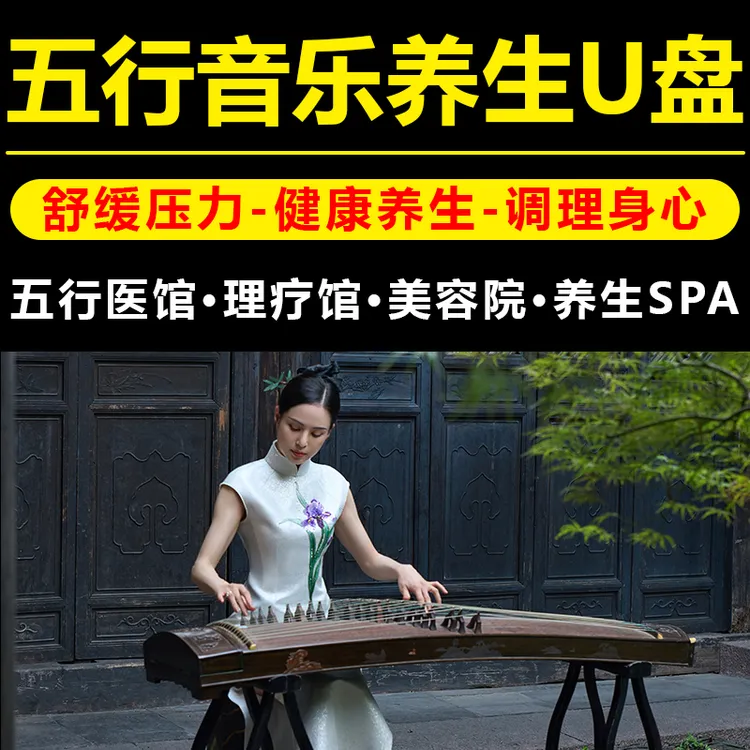 车载u盘茶室音乐五音疗愈药音纯音乐u盘古琴古筝琵琶无损音乐优盘