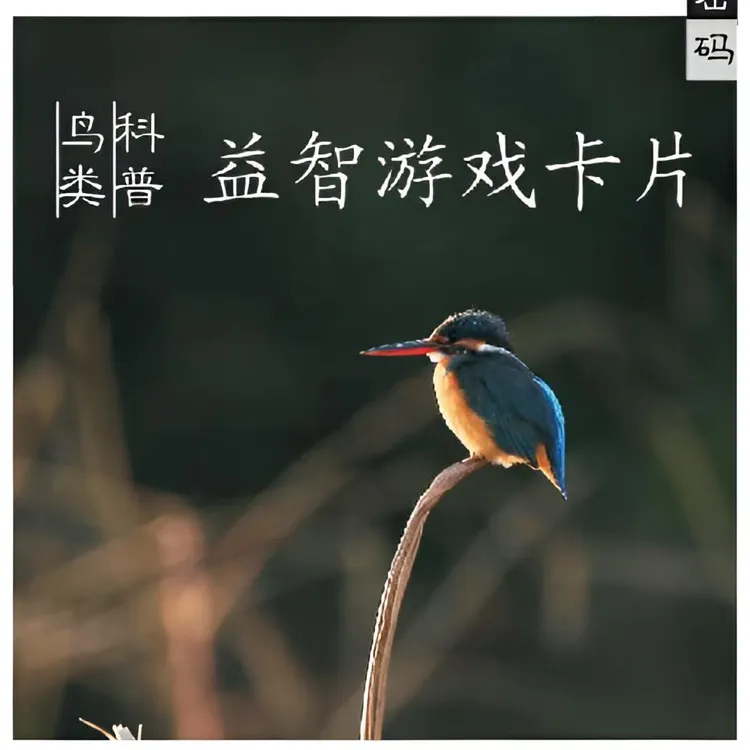 《鸟类科普益智游戏卡片》卡片认读比赛 全国通用 （拍1件发2盒）