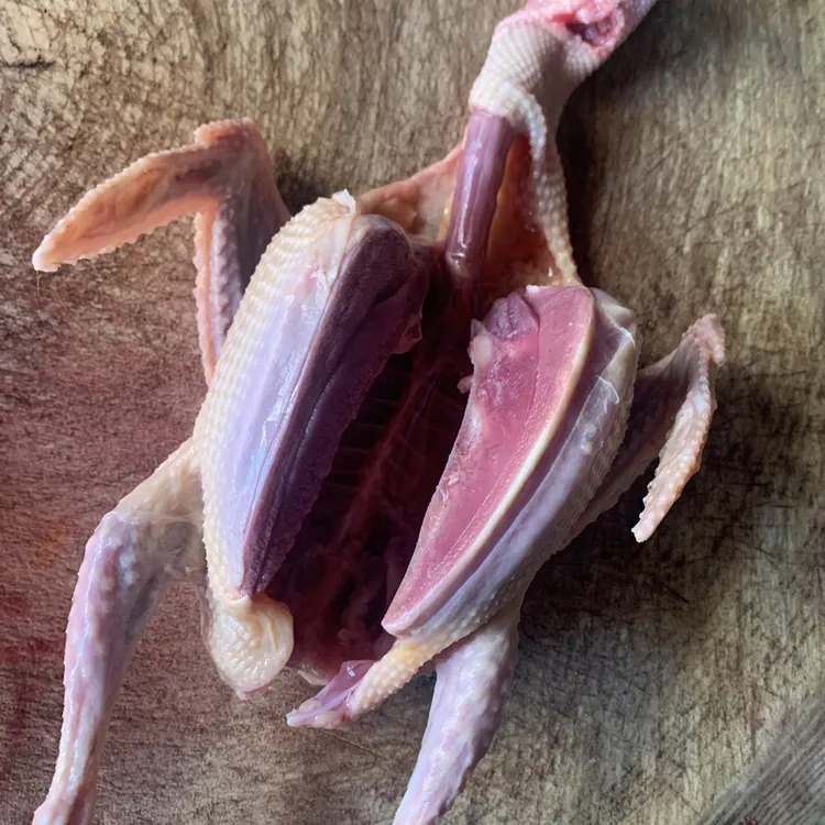 农家散养土鸽子新鲜现杀带心肝急冻锁鲜鸽子肉炖汤肉质鲜嫩