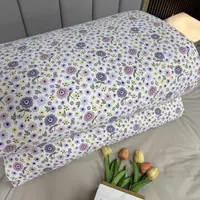  A 【爆款好物】200X230 小清新 被芯 丁香紫简约款