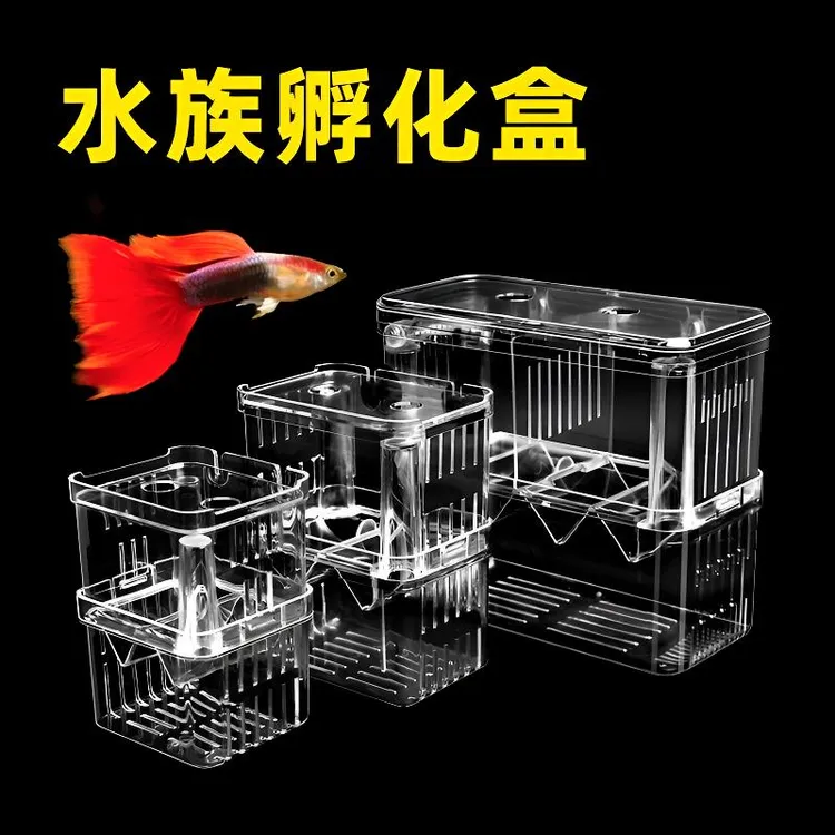 鱼缸隔离盒孵化盒孔雀鱼凤尾繁殖盒小鱼幼鱼鱼苗缸外非亚克力产房