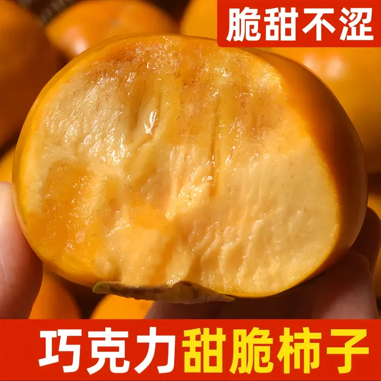 FG1 头茬巧克力脆柿子新鲜脆柿子 坏果包赔 纯甜不涩口香甜