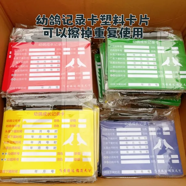 塑料幼鸽记录卡可重复使用