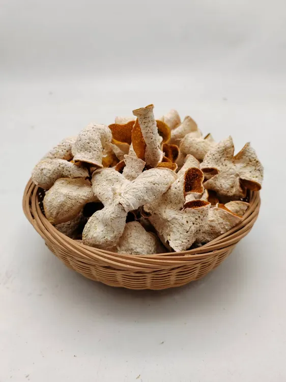 2025年新会天马圈枝 跨年柑冬后皮 大红皮晒干柑皮12月31日采摘