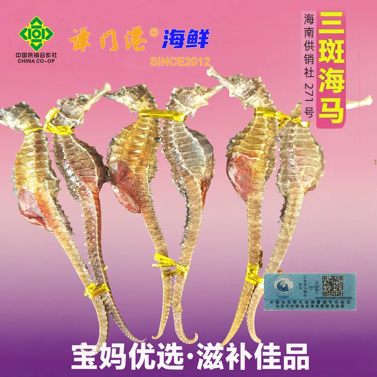 冯家湾三斑海马干货中药材泡酒一公一母煲汤正品滋补养生