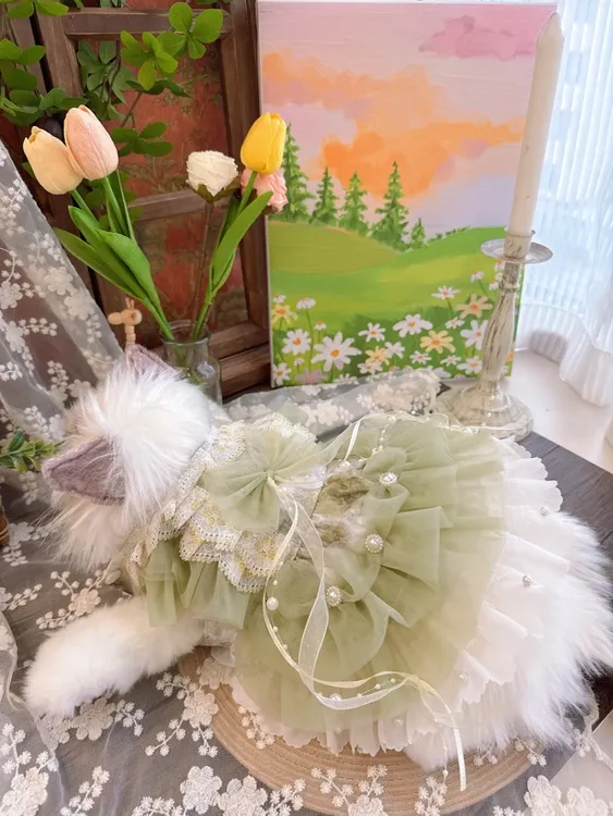 宠物绿野仙踪裙子·适合猫咪/狗狗/兔子/马尔济斯/约克夏/博美