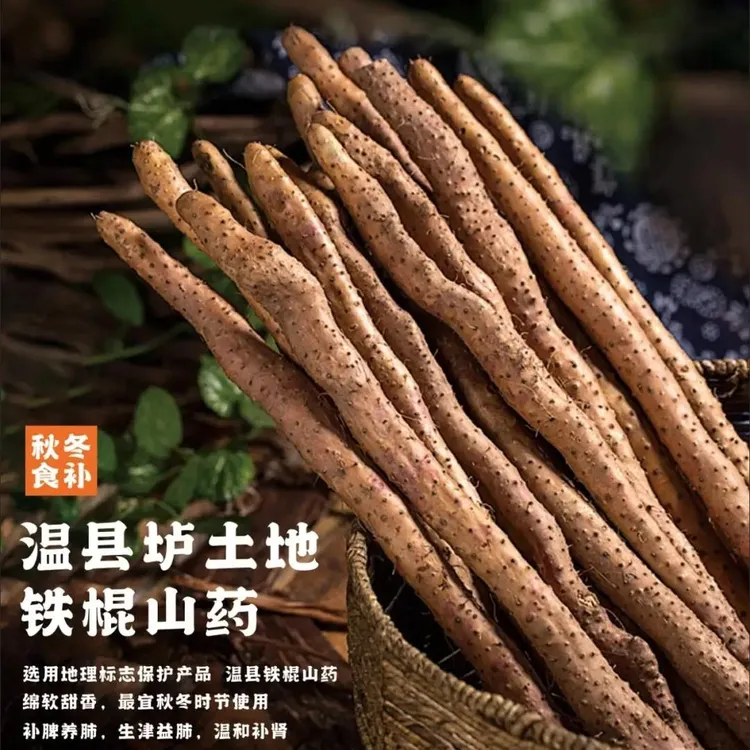 河南温县垆土铁棍山药新鲜采挖精选断果