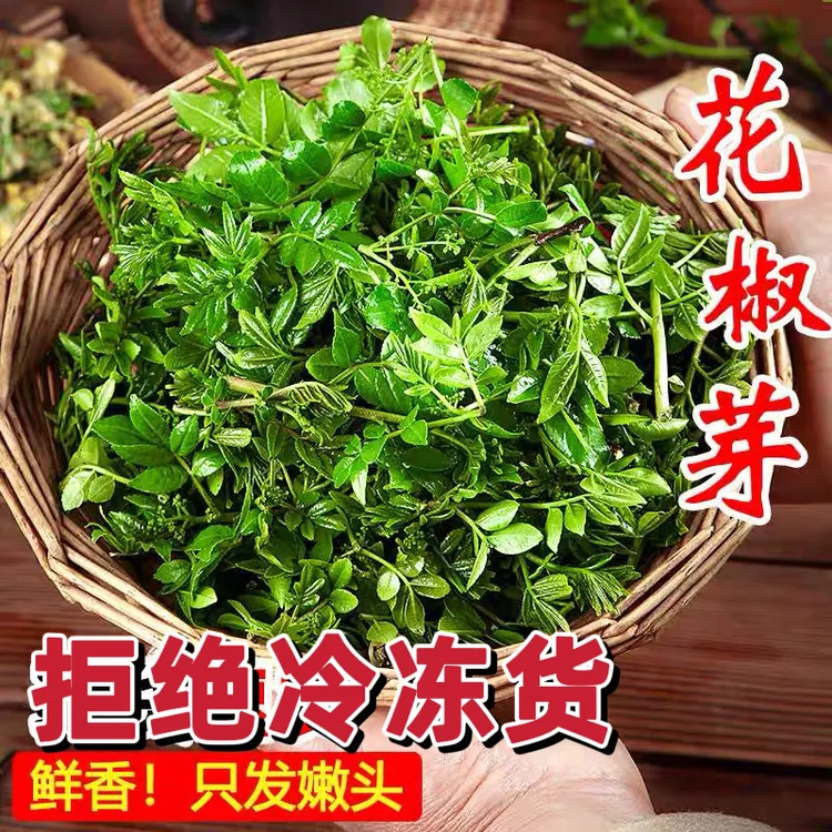 【顺丰包邮】新鲜花椒芽现摘花椒芽凉拌美味花椒叶非冷冻货新鲜现摘
