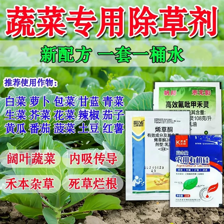 蔬菜苗后除草剂萝卜包菜甘蓝花菜地除草剂除牛筋草烂根白菜除草剂