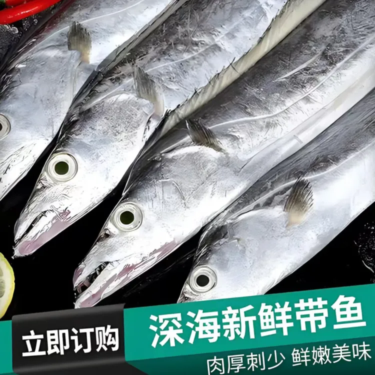 海捕带鱼 保证新鲜 介意破腹勿拍