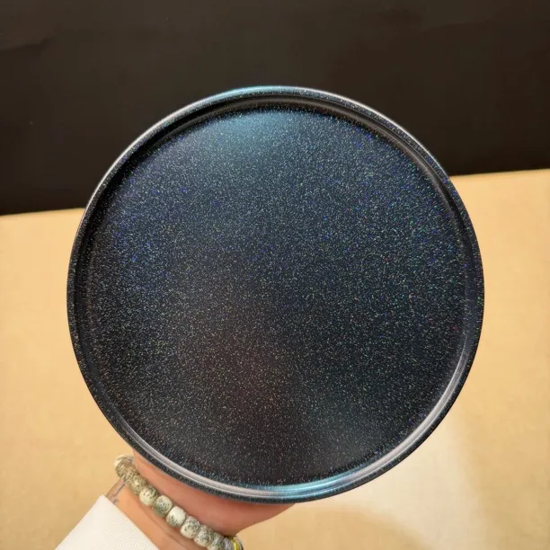 【晨湖渔乐】变色龙特氟龙2.8公斤大满磁全磁磁盘（下单看详情）