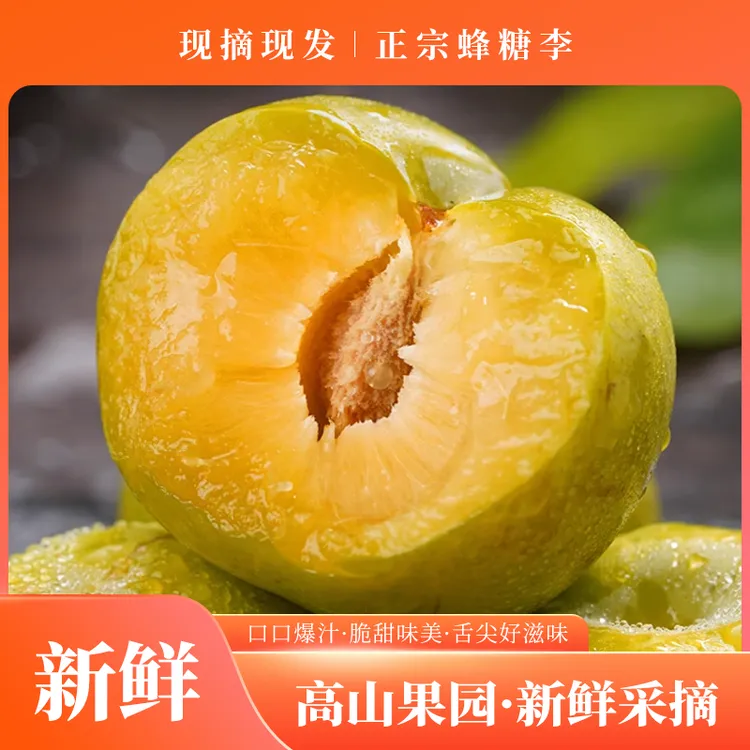 正宗贵州蜂糖李现摘现发脆甜多汁新鲜可口应季水果李子大果园种植