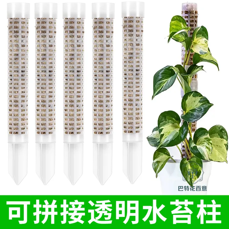 水苔柱可拼接爬藤植物攀附柱热植蔓绿绒绿萝龟背竹攀爬柱固定支架