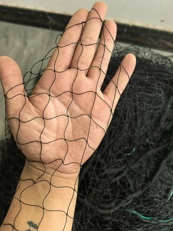 定做盖网蒙网3✖️2线2.5眼