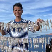 【小海锅】正宗北海船上穿孔吊晒正宗小鱿鱼干炭烤油炸香煎烧烤专用