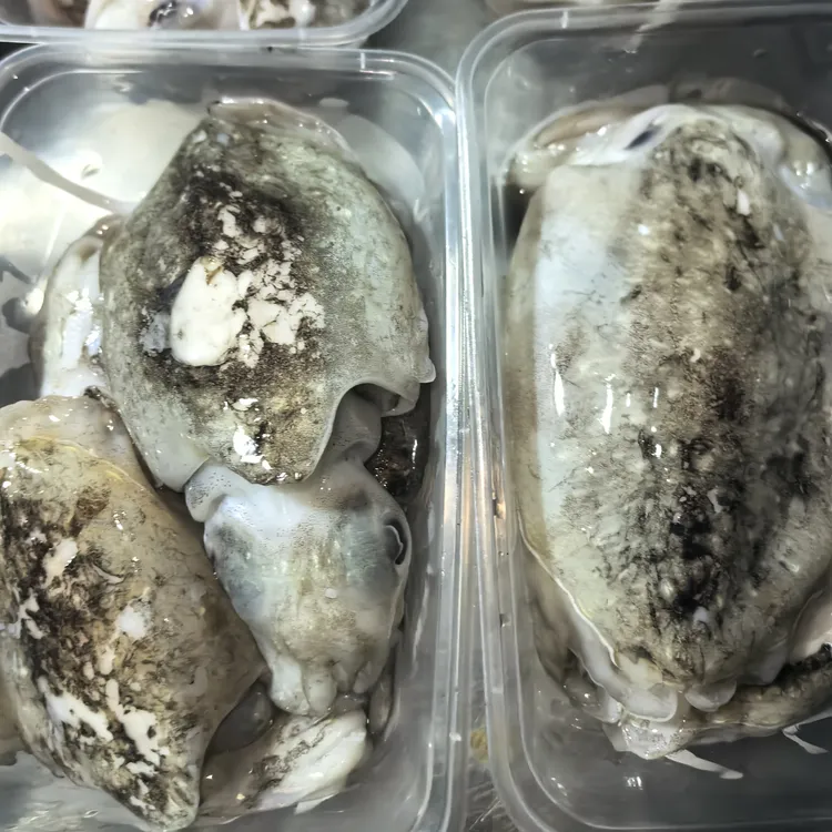 明图当潮新鲜墨鱼仔速冻发货顺丰包邮