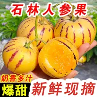 【小燕子专属】云南当季人参果单果80g以上带箱5斤甜蜜多汁15-21枚