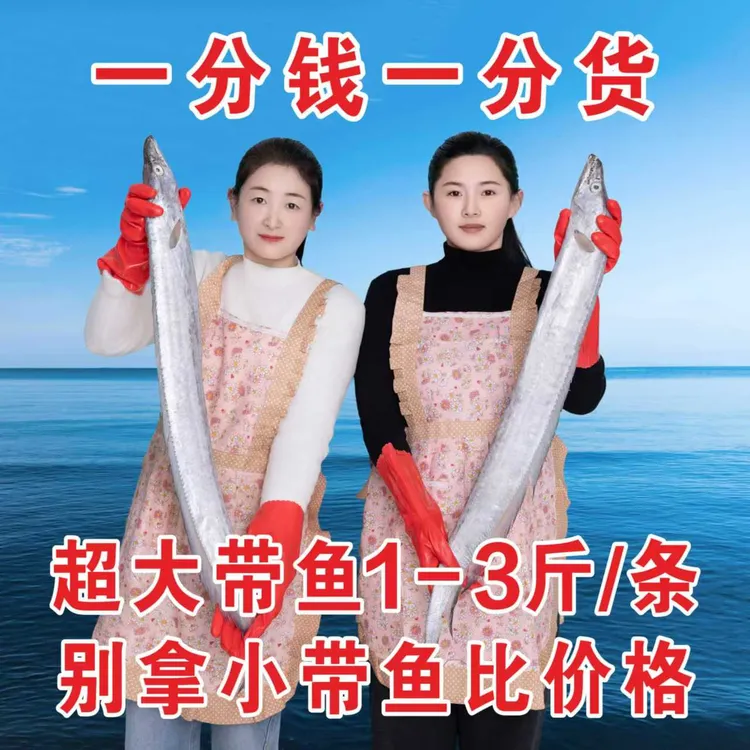 【顺丰包邮】特大野生海捕带鱼新鲜冷冻整条海鲜大带鱼大刀鱼
