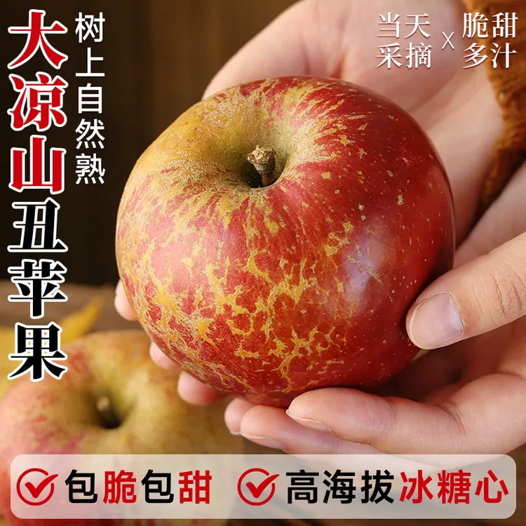 正宗大凉山丑苹果冰糖心苹果新鲜水果当季现摘四川红富士大果整箱