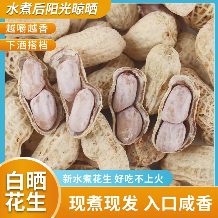 【到手500克】25年新货正宗闽西龙岩特产水煮白晒花生解馋下酒零食