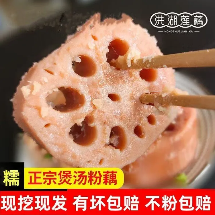 湖北洪湖新鲜现挖煲汤粉藕正宗九孔莲藕特产现挖炖汤藕甜糯香煲汤