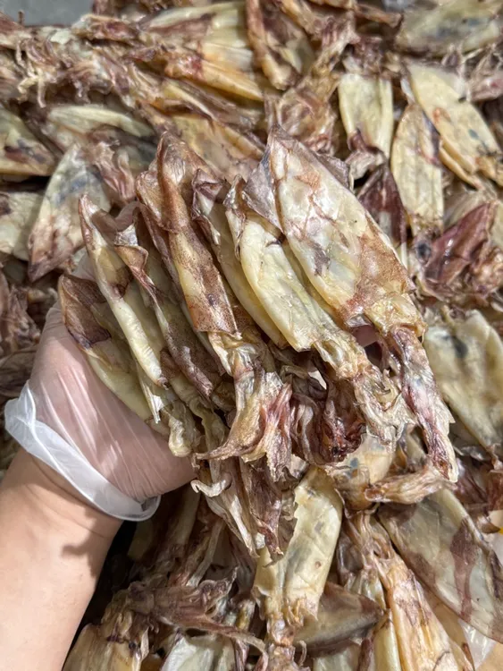 闽南特产无沙淡干锁管鱿鱼干