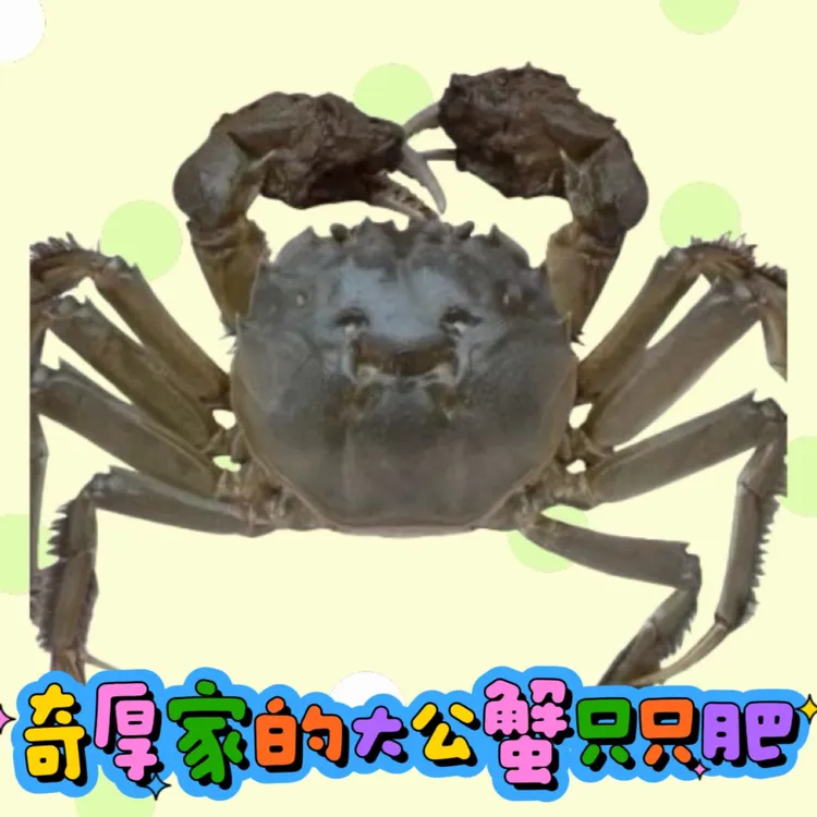 【活蟹】其他大闸蟹公蟹有膏（3-3.3两）10只装
